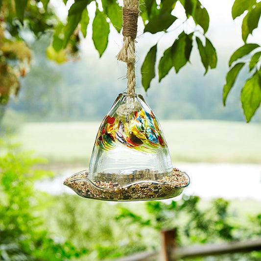 Glass Bird Seed Feeder