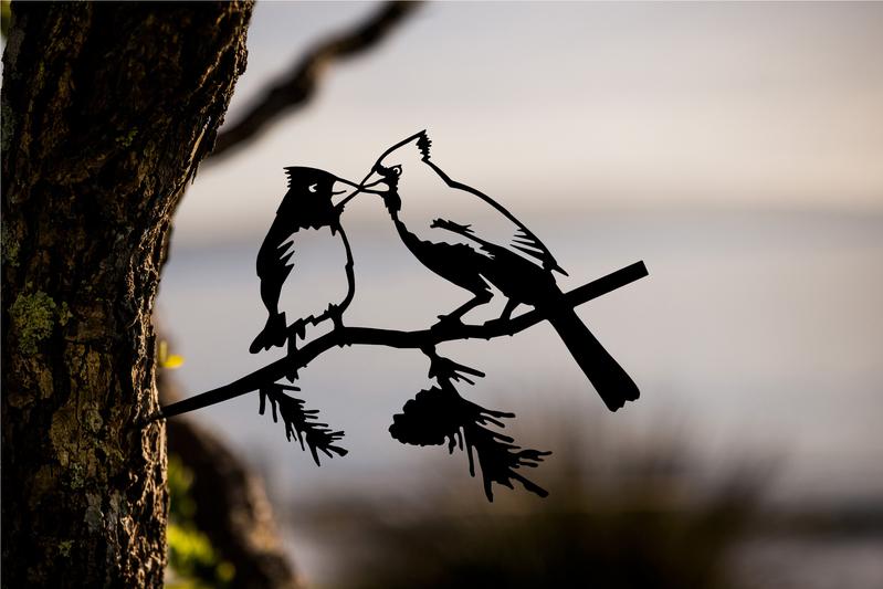 Metalbirds (Various Species)