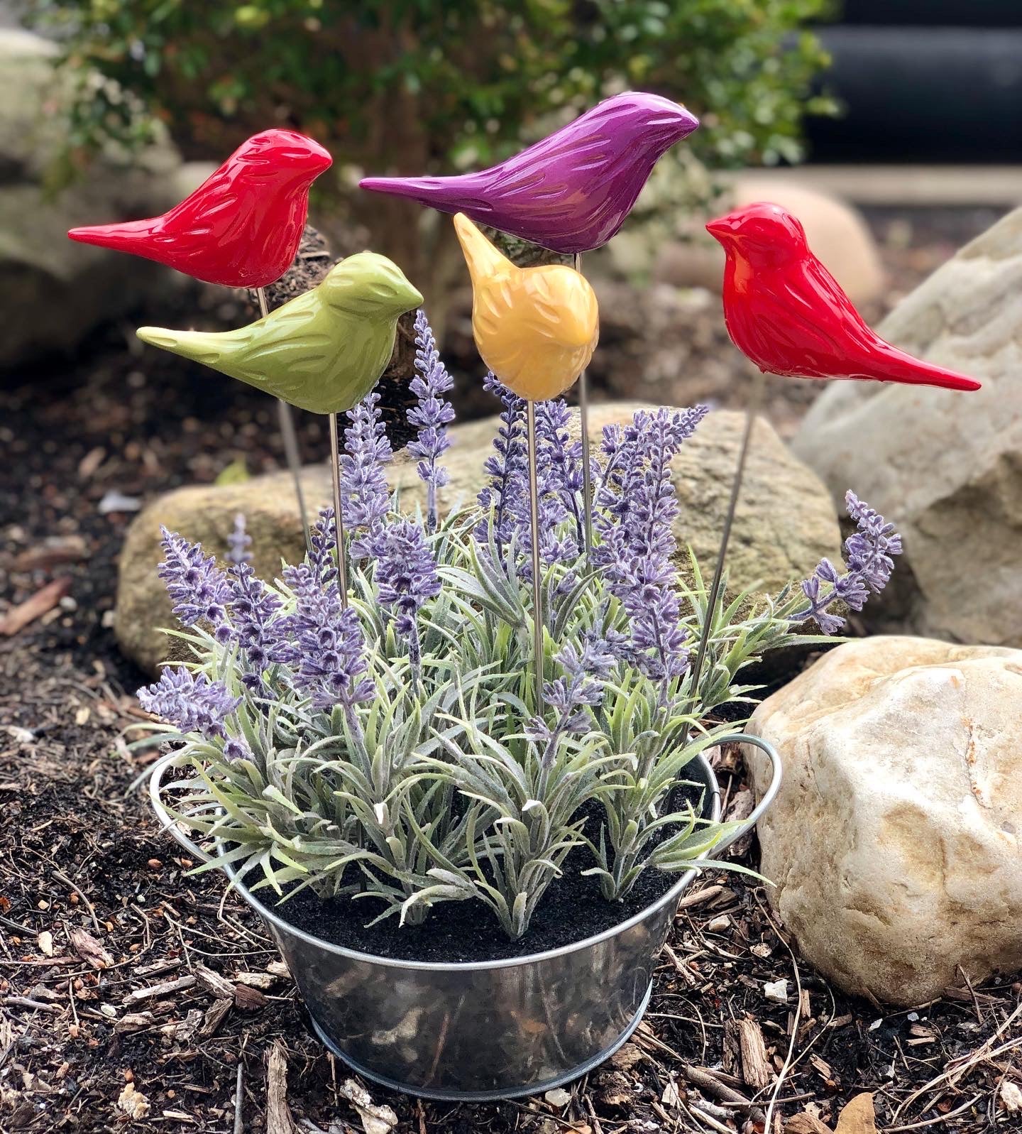 "Birds of a Feather" Plant Stakes (Set of 3)