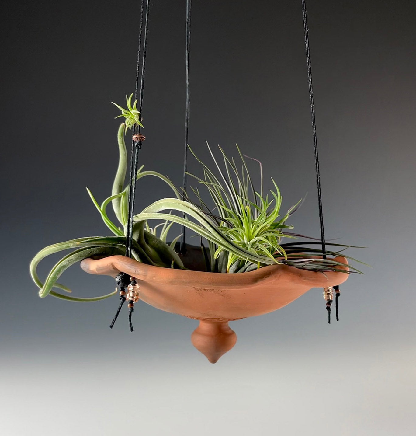 Hanging Planter