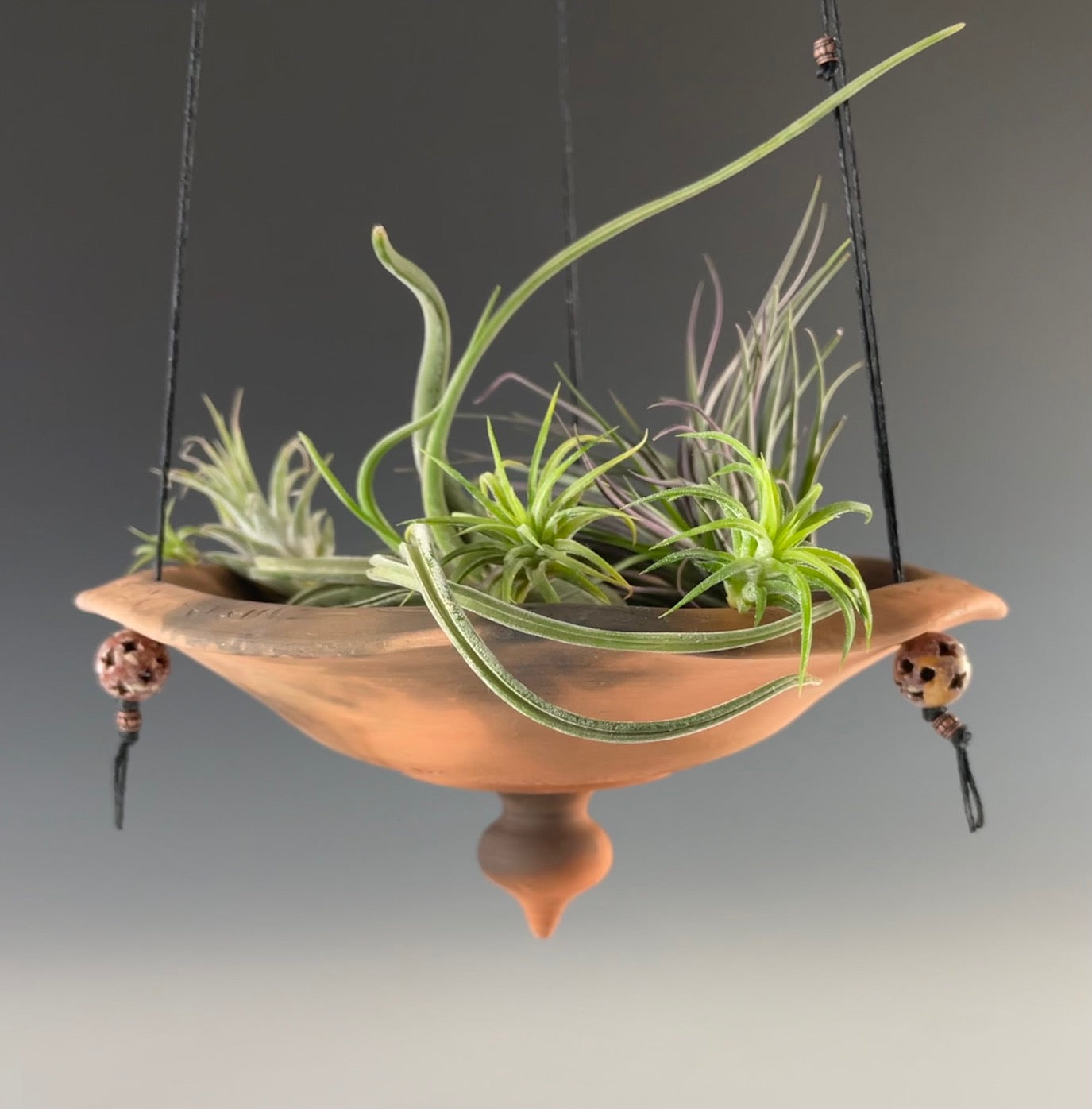 Hanging Planter